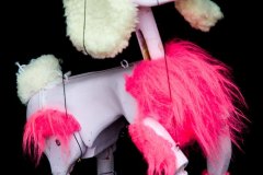 Pink horse