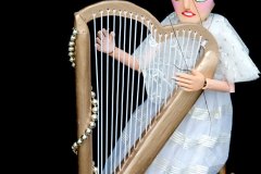 Harpist